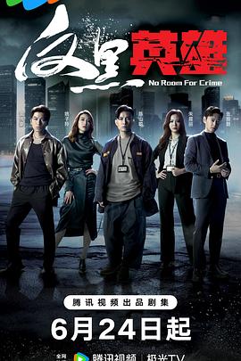 前端seo网站优化软件